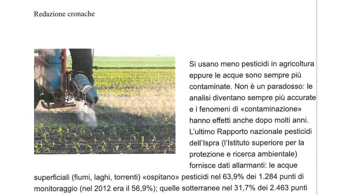 acque italiane e pesticidi 1