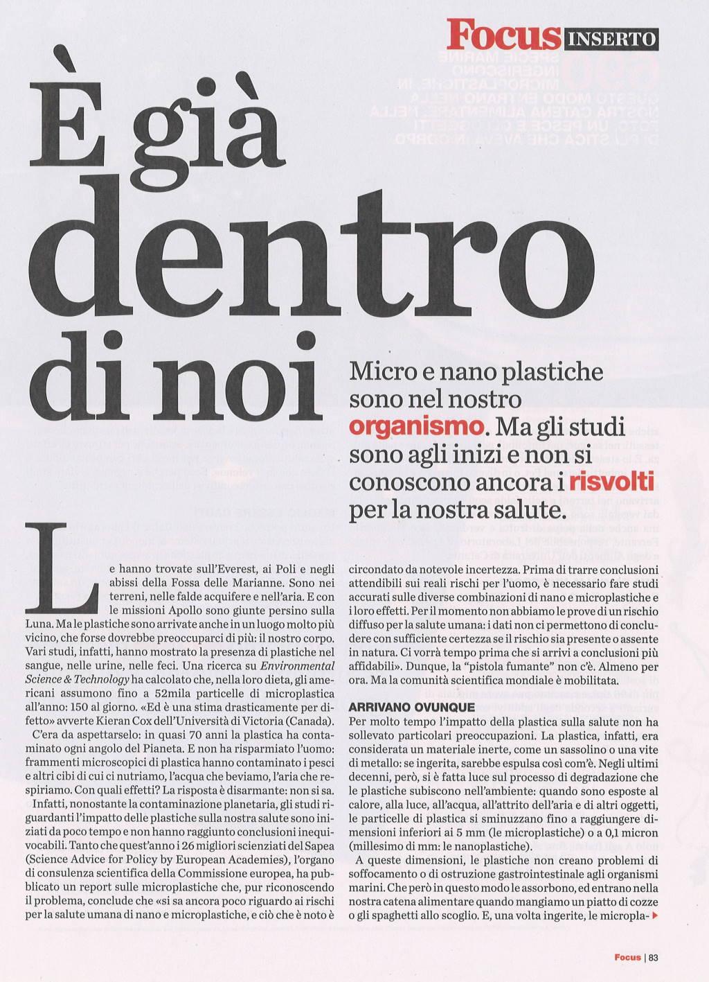 Microplastiche nel corpo umano 2